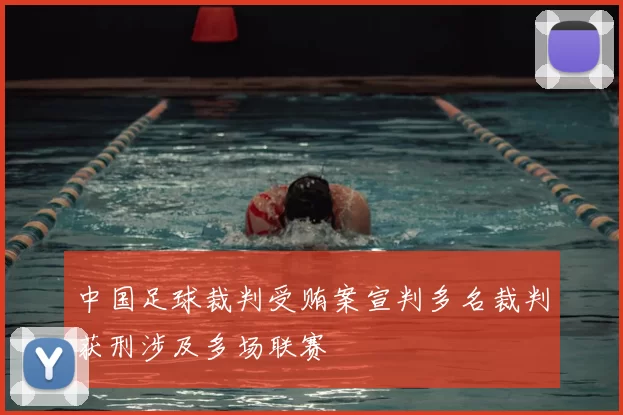 中国足球裁判受贿案宣判多名裁判获刑涉及多场联赛