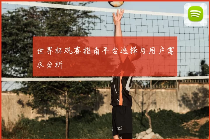 世界杯观赛指南平台选择与用户需求分析