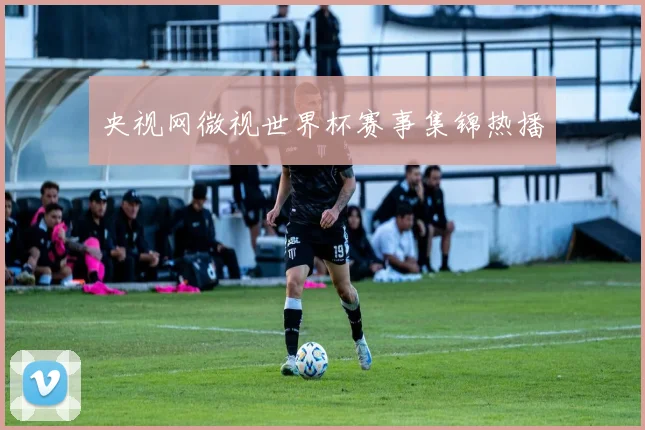 央视网微视世界杯赛事集锦热播
