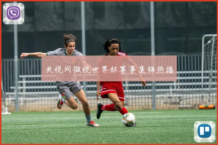 央视网微视世界杯赛事集锦热播